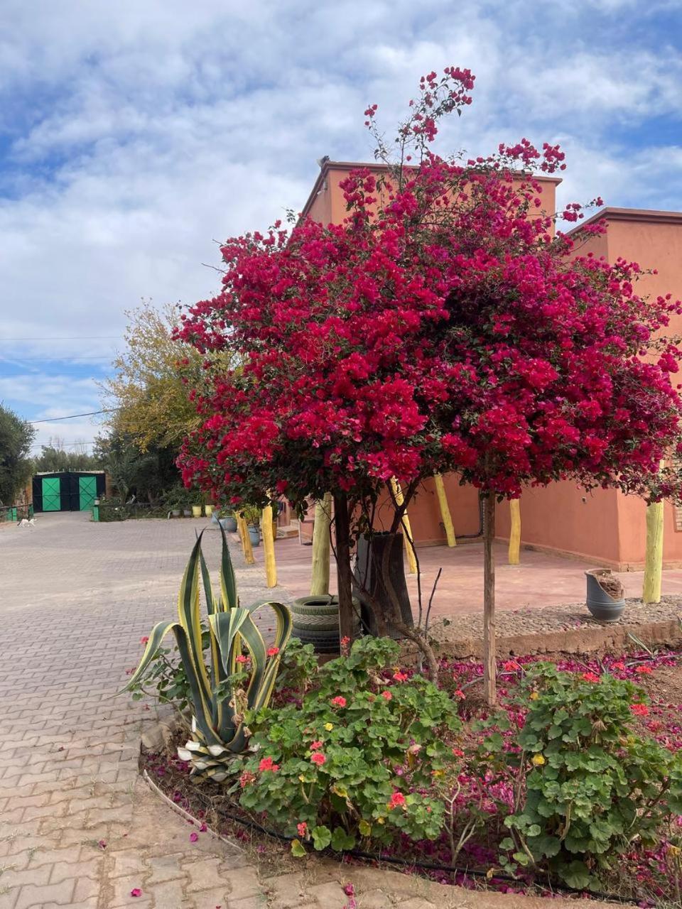 Riad Oussari Marrakesch Exterior foto